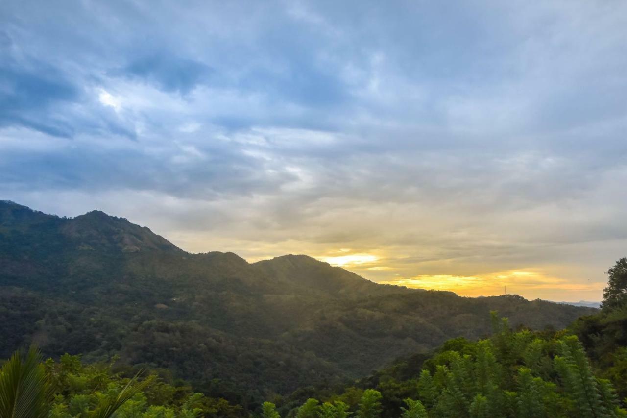 Butterfly Nest Hotel Ella Ngoại thất bức ảnh